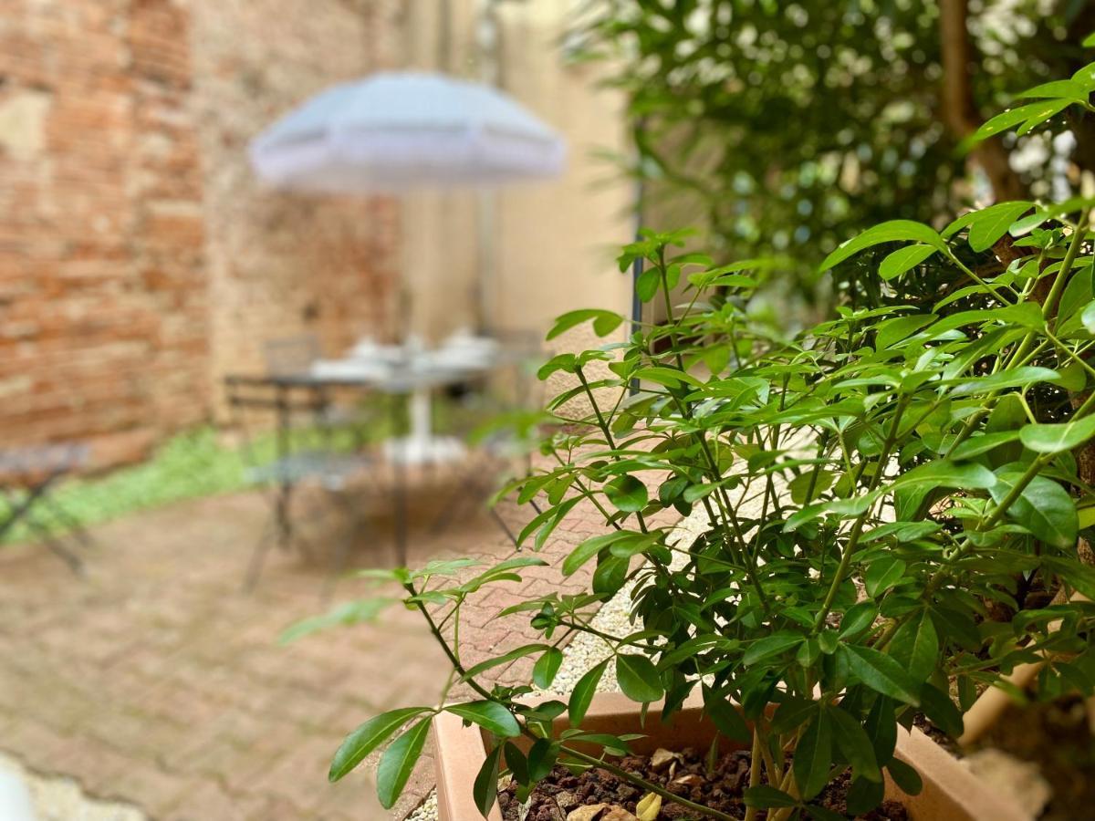 Apartmán L'Improbable Rendez-Vous Montauban Exteriér fotografie
